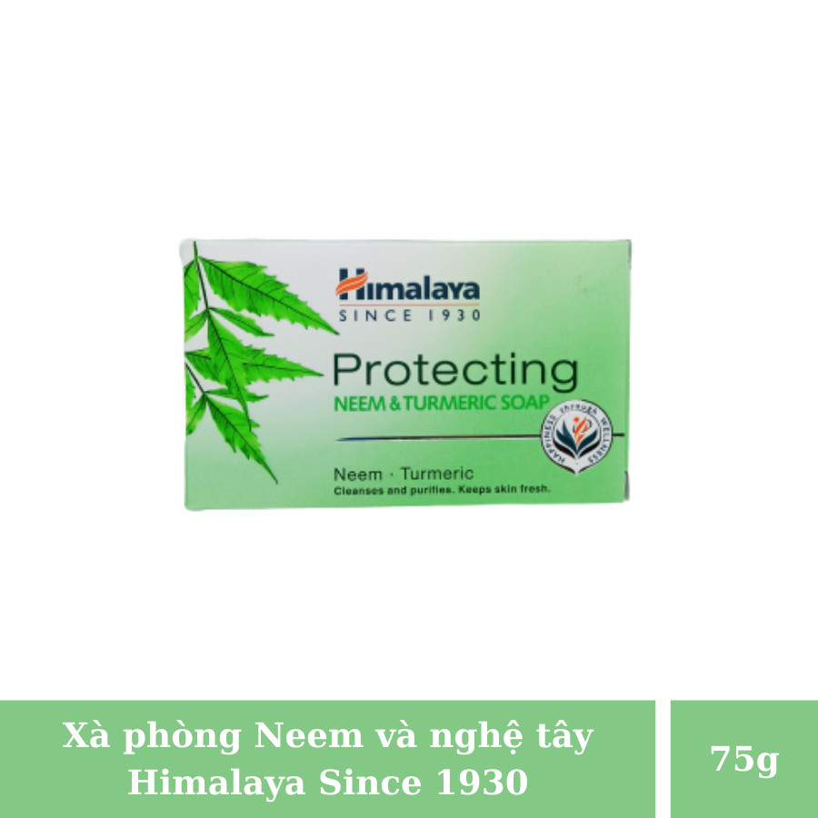 Ba Cục Xà Phòng Neem Nghệ Tây Himalaya Giúp Kháng Viêm, Kháng Khuẩn Hỗ Trợ Ngăn Ngừa Mụn Lưng, Viêm Da - Protecting Neem &amp; Turmeric Soap 75g