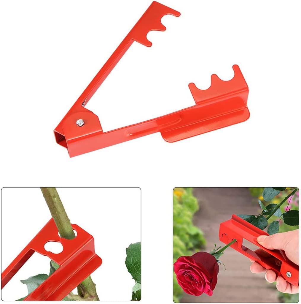 2 cái dụng cụ tước lá gai cho hoa hồng vườn,  gai để cắm hoa