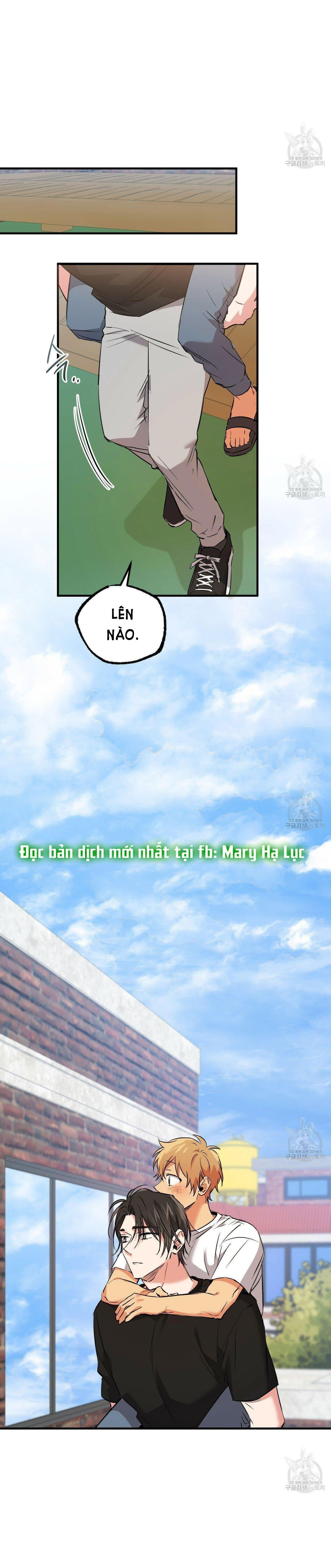 những chú thỏ của hapypy chapter 53.2 11