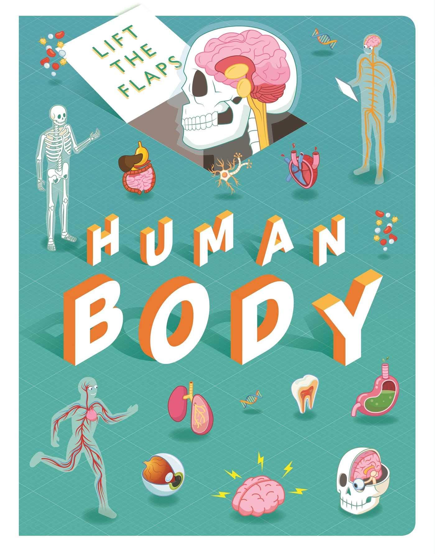 Lift The Flaps: Human Body - Sách lật mở: Cơ thể con người