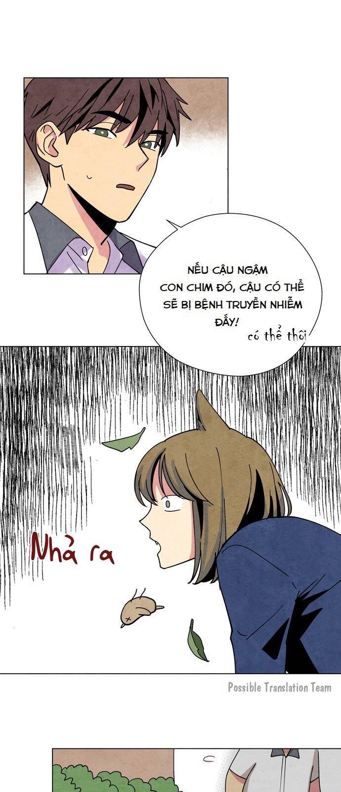 tai sói và mũ đỏ chapter 3 5