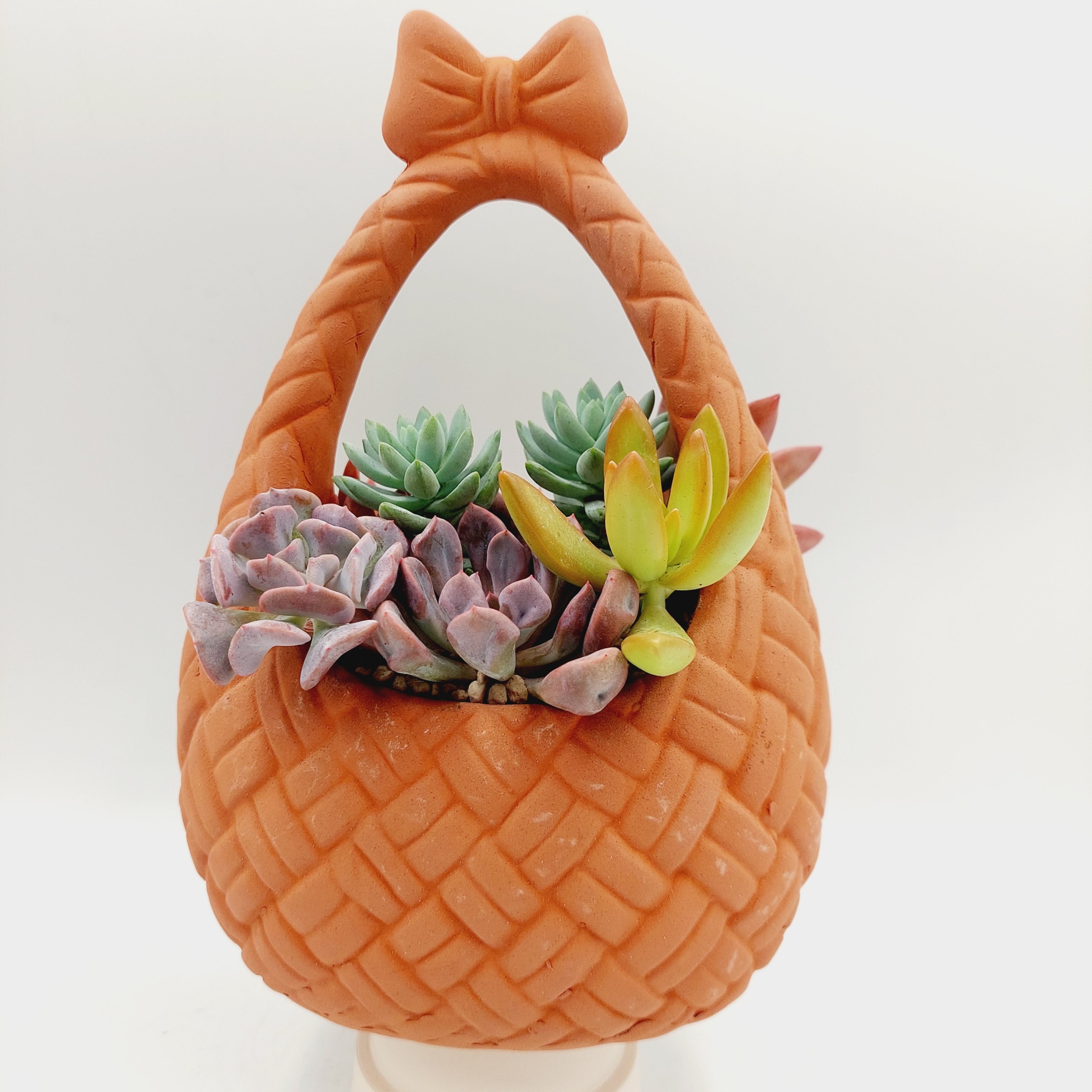 Chậu đất nung, chậu sen đá -Giỏ nơ, miệng chậu , chiều cao 20cm