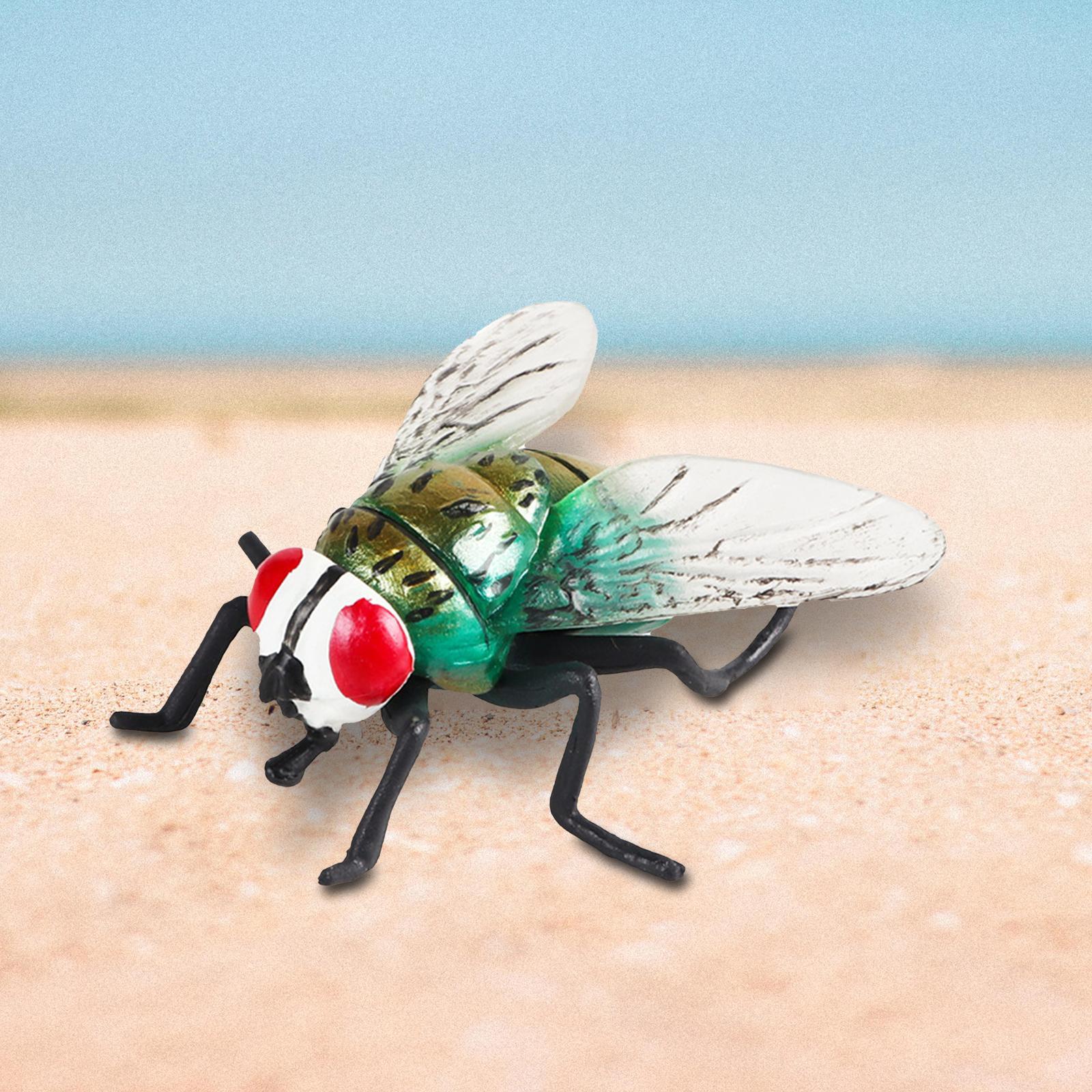 Realistic Fly Toys Educational Learning Toy Party Supplies for Boy Toddlers