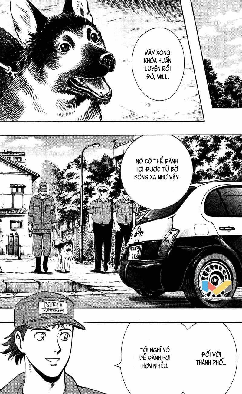 animal sense chapter 8 23