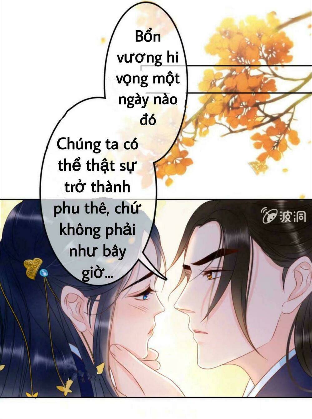 sủng phi của vương chapter 41 24