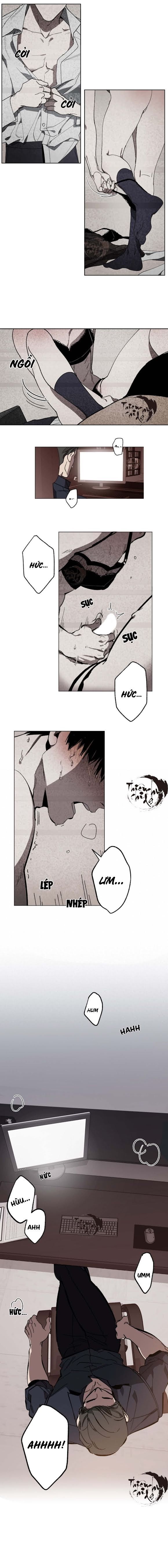 hoán vị chapter 1 11