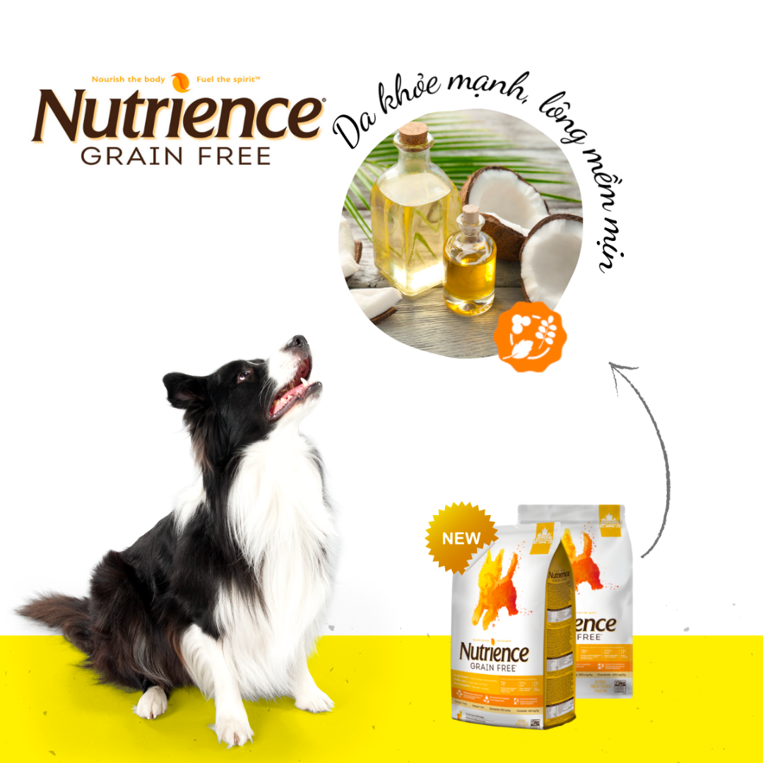 Thức Ăn Hạt Cho Chó Nutrience Grain Free Vị Gà Tây, Gà Canada Và Cá Trích