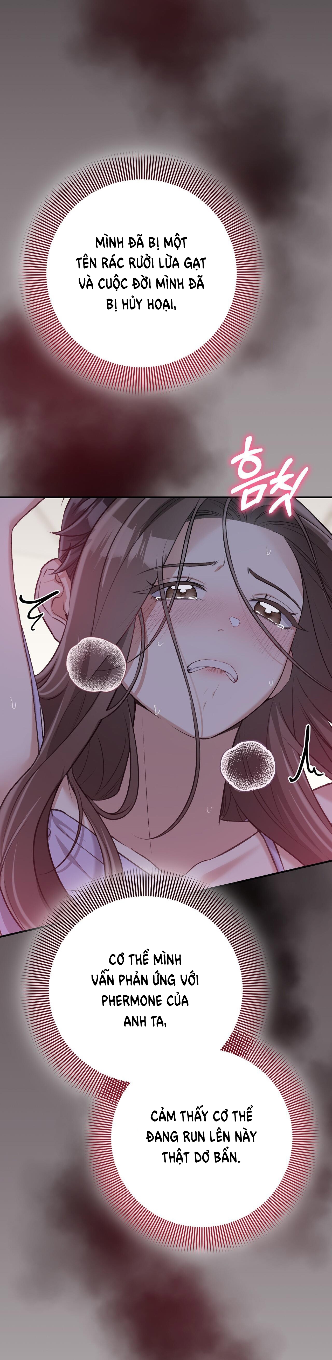 Cướp Dâu chapter 17.2 - Trang 17