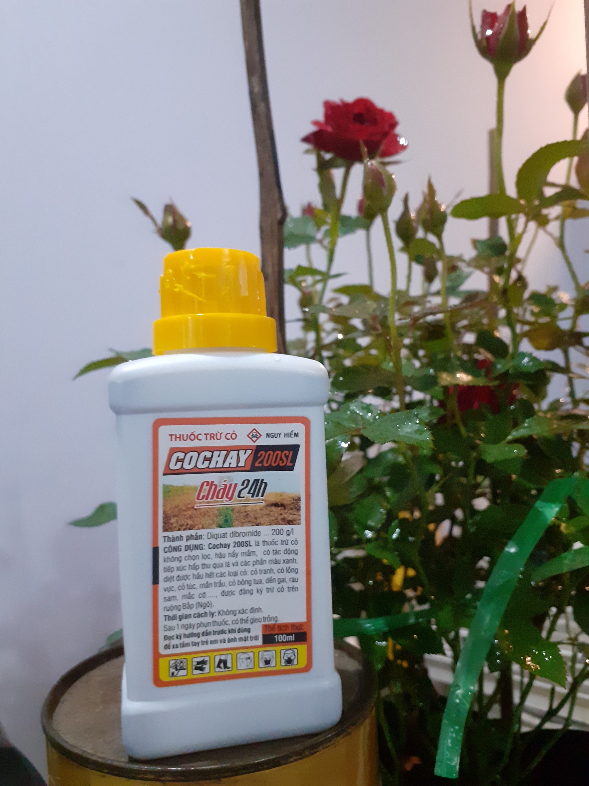 Chế phẩm trừ cỏ