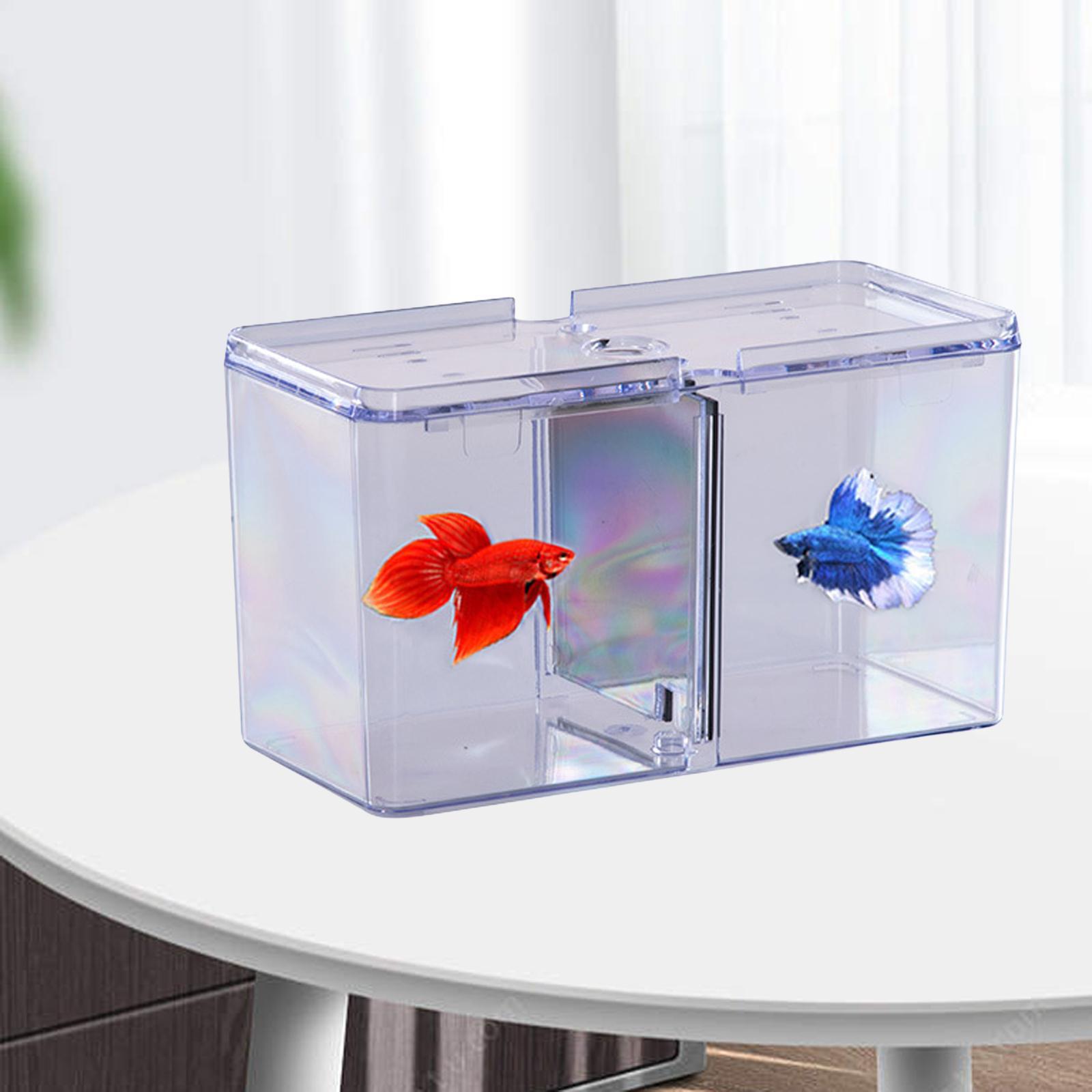 Fish Breeding Box Tank Hatchery Incubator Aquarium Isolation Box Guppy