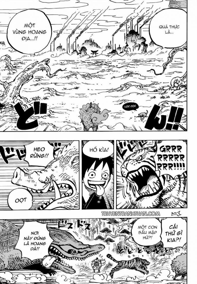 đảo hải tặc - one piece chapter 912 11