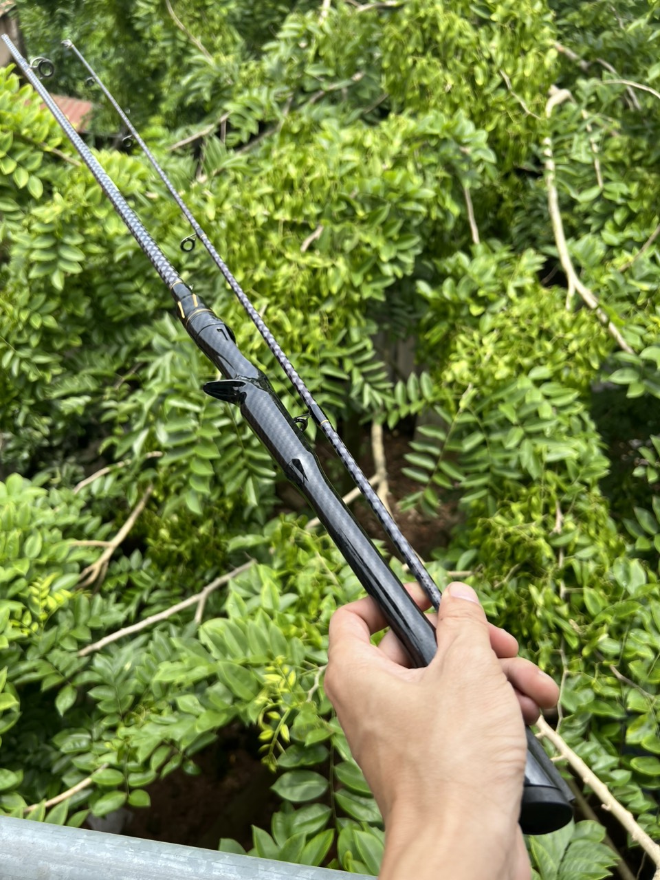 Cần câu Lure Rồng Đen - Black Dragon S4 Fishing chuyên câu lure