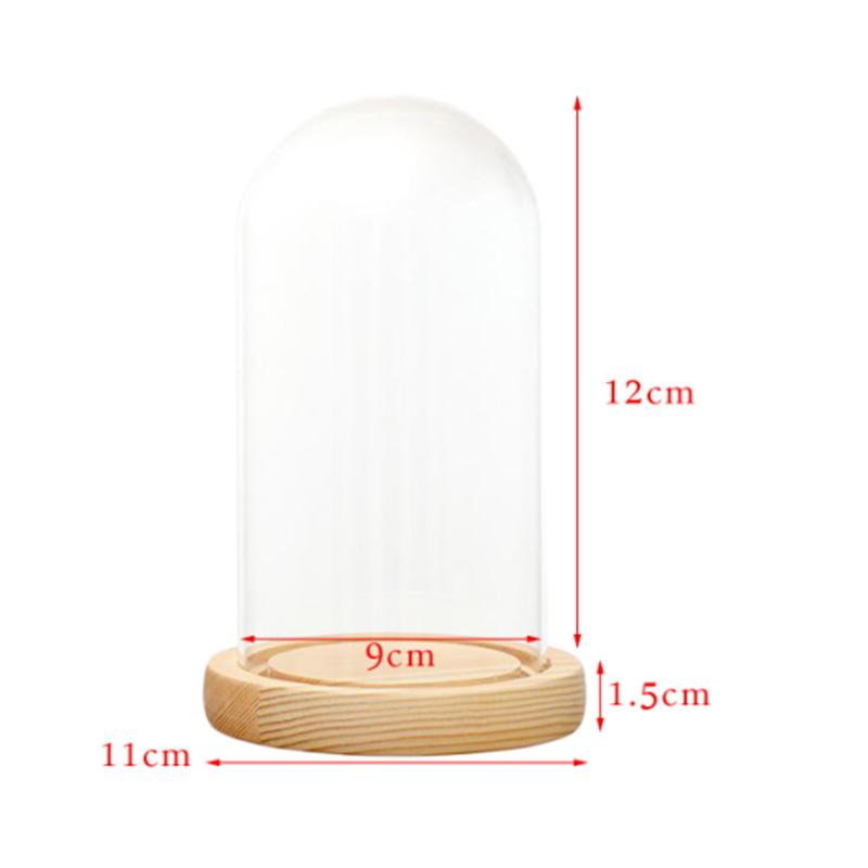 Đế Gỗ Trưng Bày Đèn Led Trang Trí Nhà Cửa