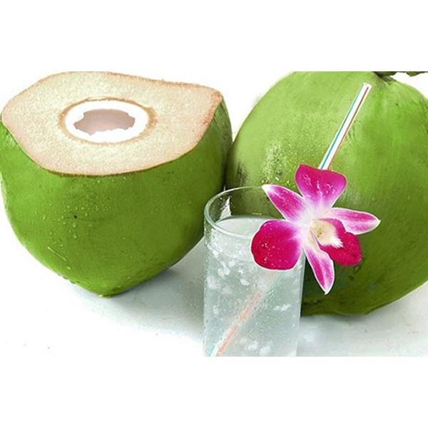 Cây giống Dừa Xiêm Dứa .