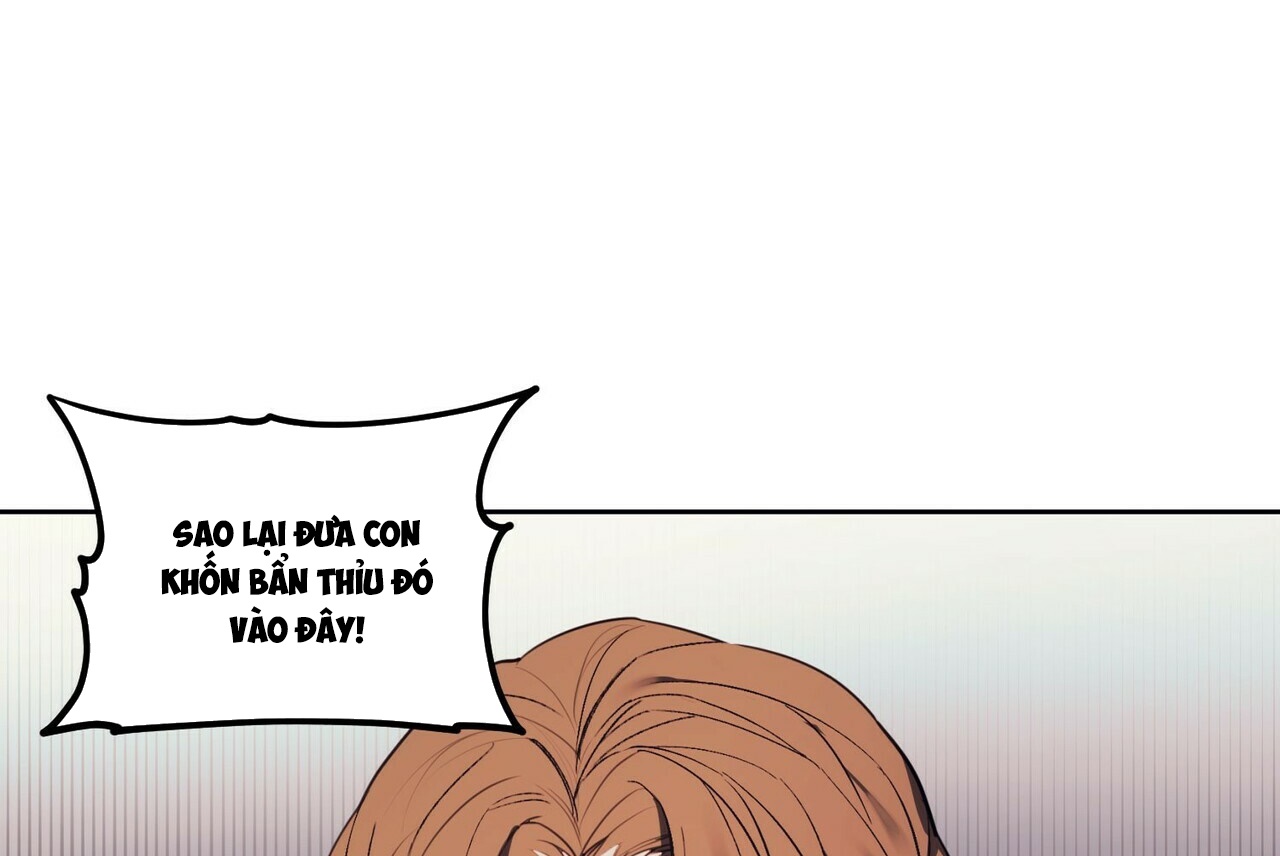 chàng dâu nhà họ kang chapter 1 1