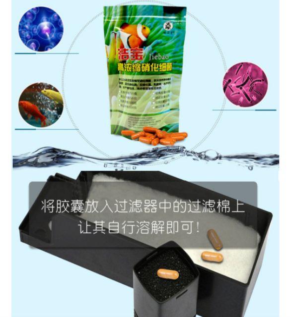 MEN VI SINH DẠNG VIÊN NANG- MEN VI SINH TỐT NHẤT