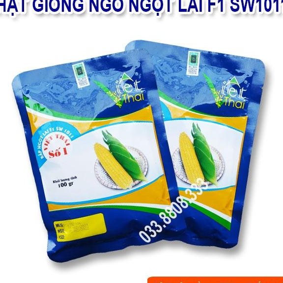 Hạt Giống Ngô Ngọt Việt Thái SW1011 -Bắp Ngô Siêu Năng Suất