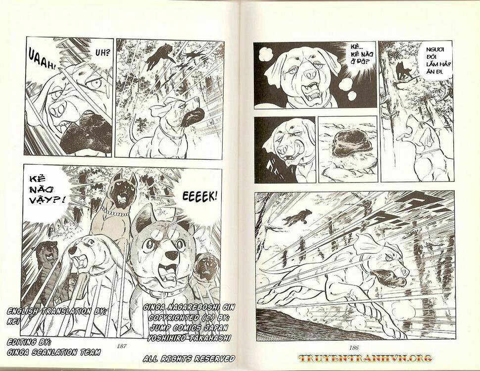 chú chó có nghĩa - ginga nagareboshi gin chapter 16 41