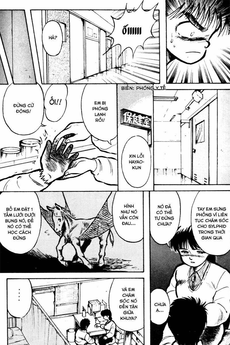 kaze no sylphid - phong mã silphid chapter 4 4