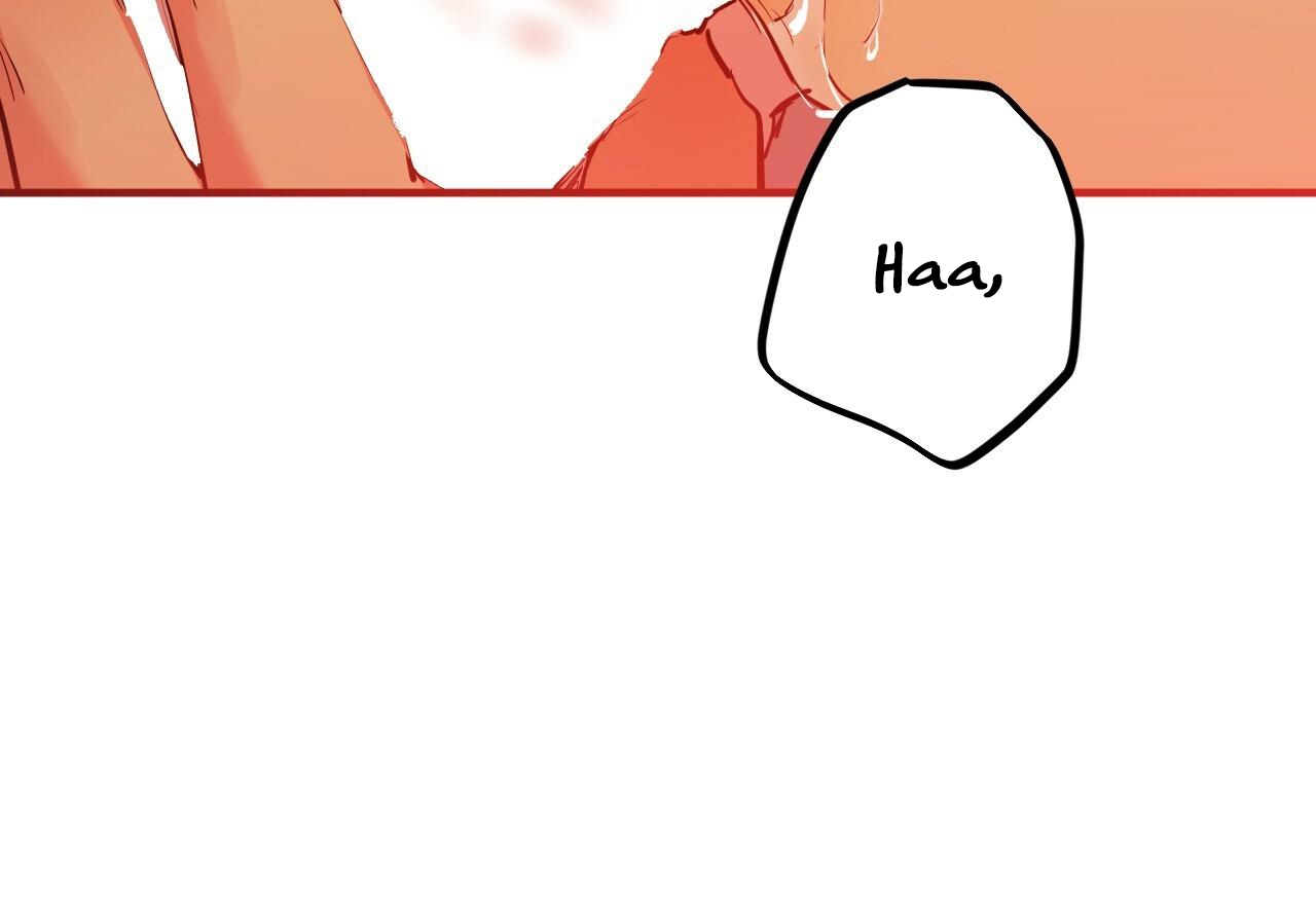 đàn thỏ của habibi chapter 29 67