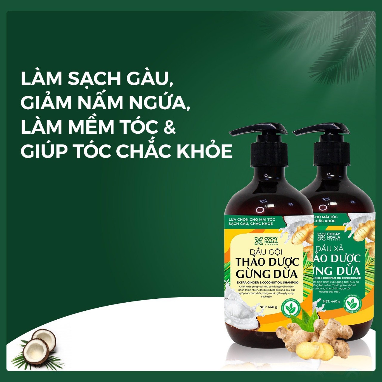 Bộ Gội Xả Gừng Dừa-Cocayhoala- giảm gàu, giảm nấm ngứa, dung tích 440g