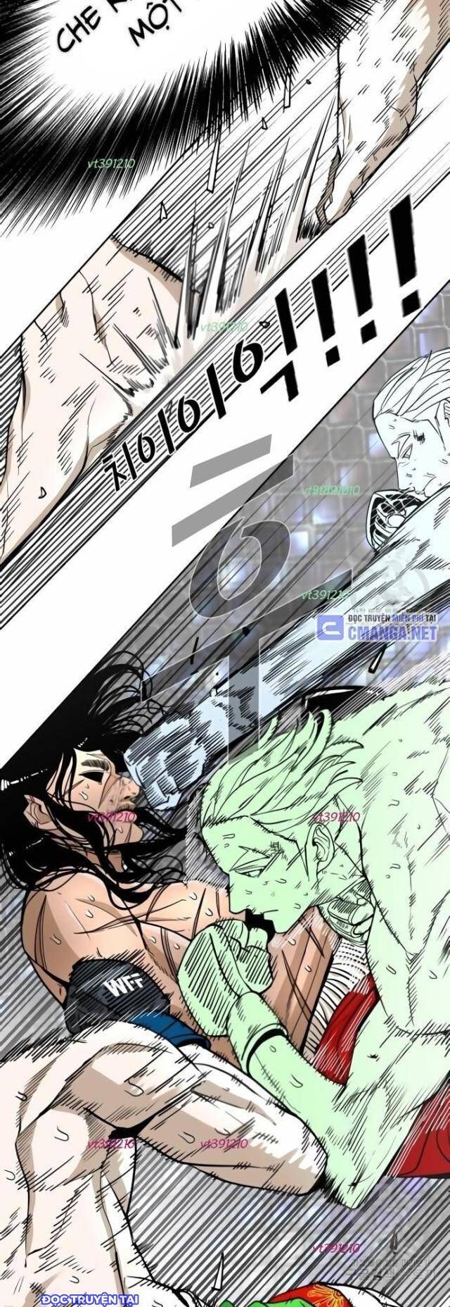 shark - cá mập chapter 247 29