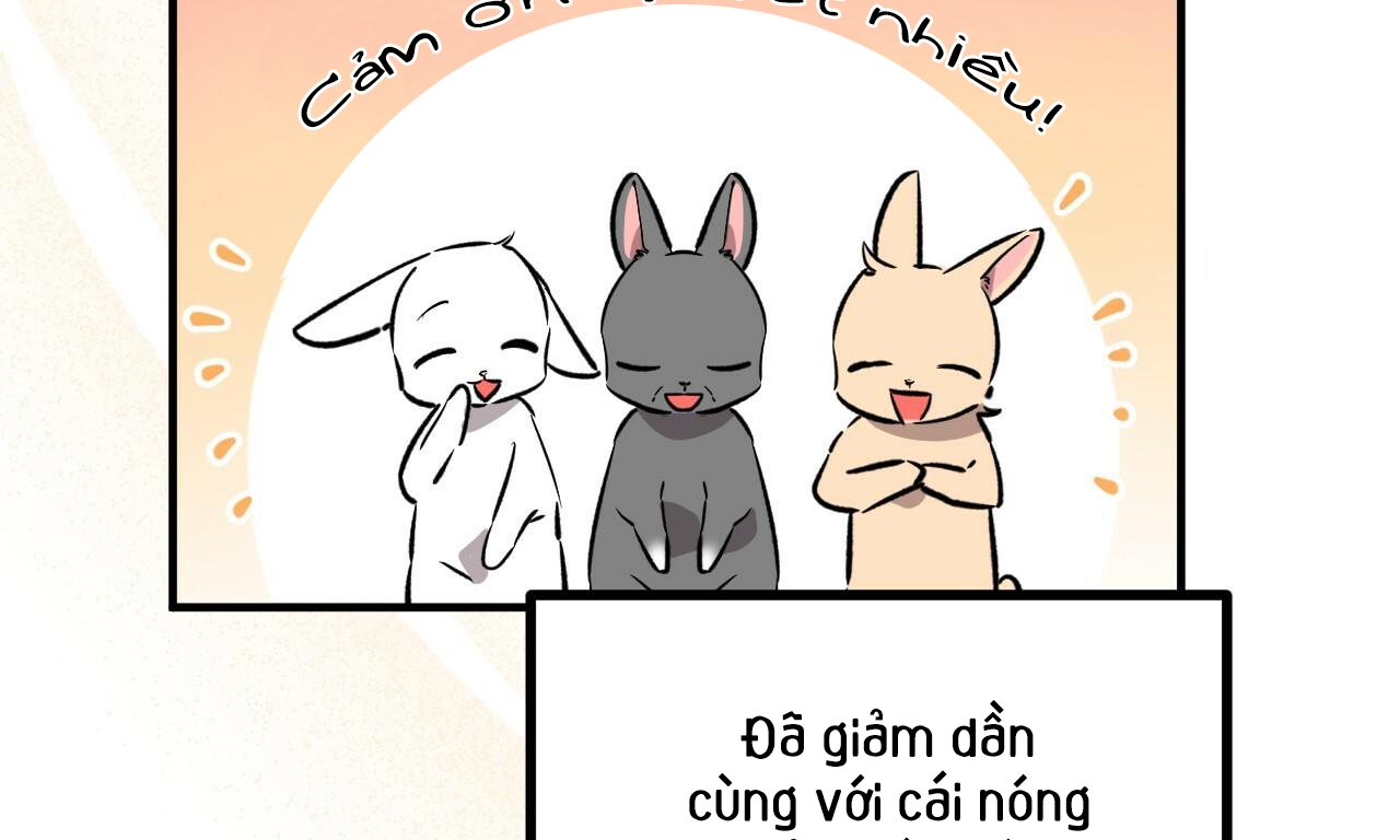 đàn thỏ của habibi chapter 55 3