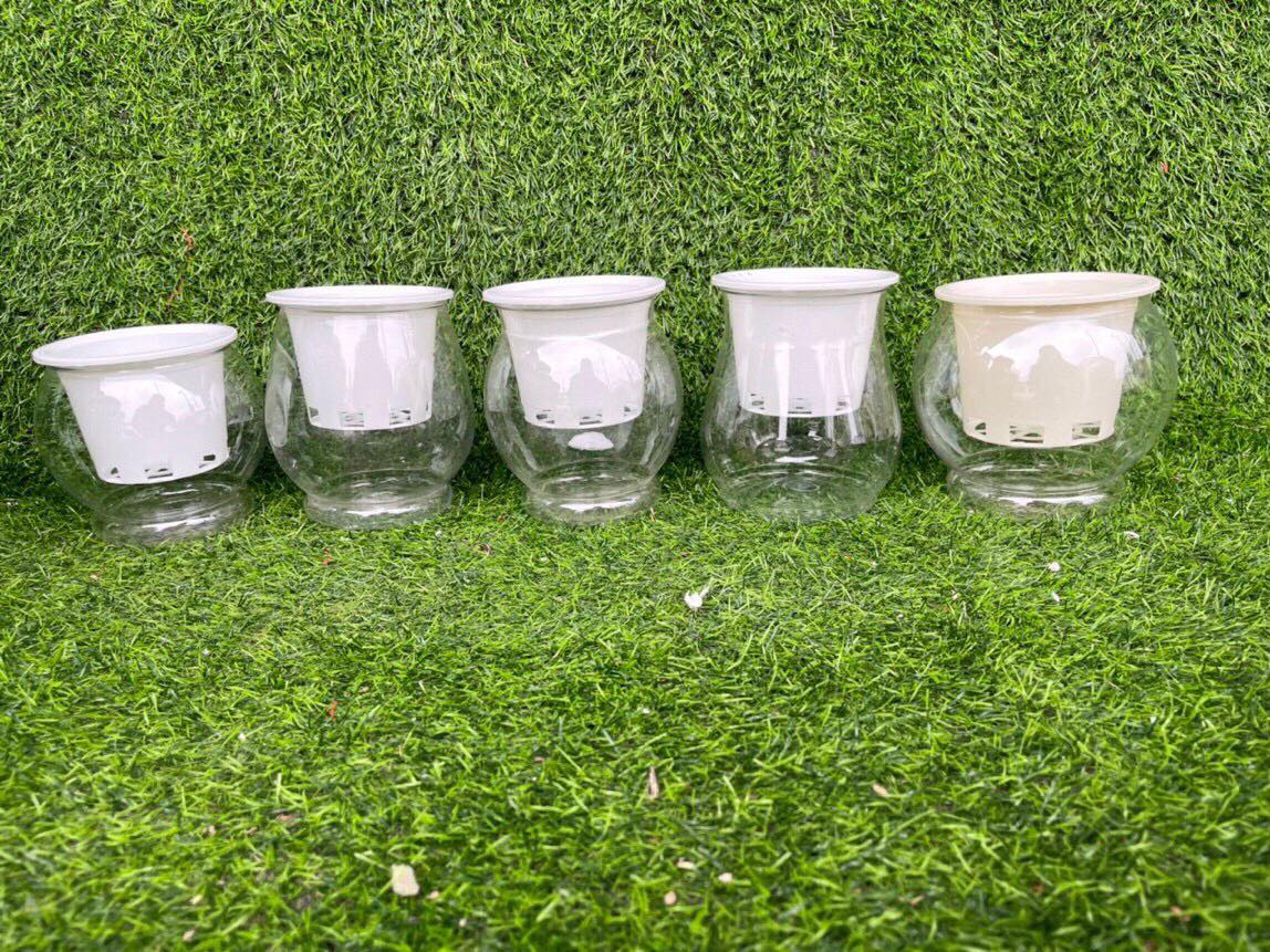 3 Chậu nhựa trồng cây thủy sinh, thủy canh bằng nhựa trong suốt MÃ 6110