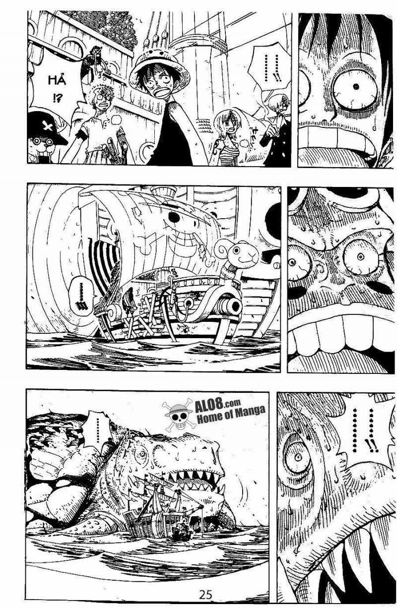 đảo hải tặc - one piece chapter 221 15