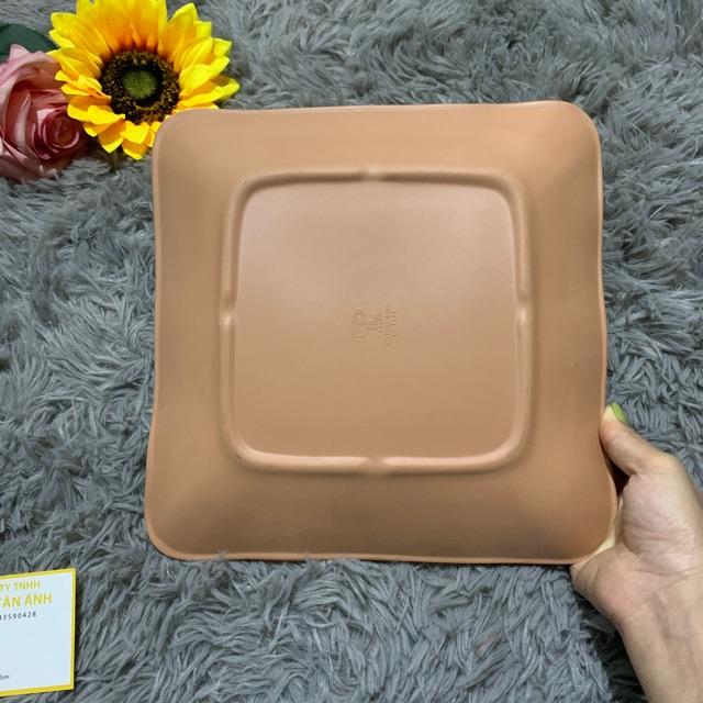 Đĩa nhựa hình vuông lớn DV 119 nhám ngói