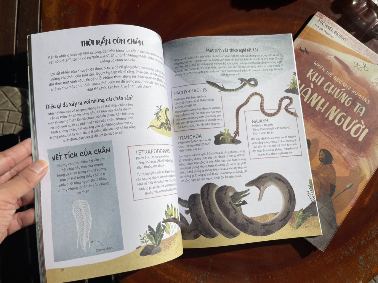 THỜI CÁ VOI BIẾT ĐI – KHI CHÚNG TA THÀNH NGƯỜI – In màu toàn bộ - Huy Hoàng Book