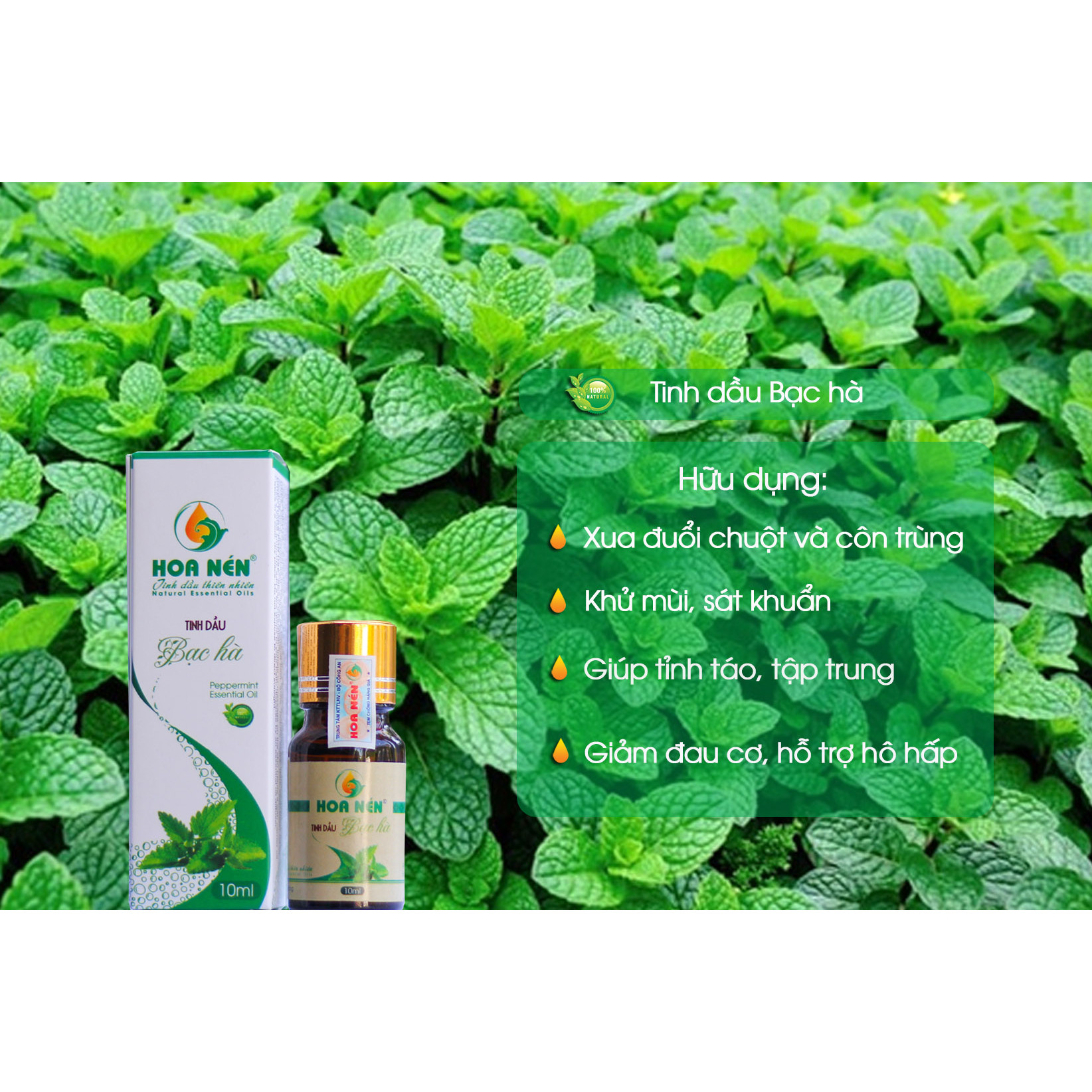 Tinh dầu Bạc hà 10ml - Hoa Nén