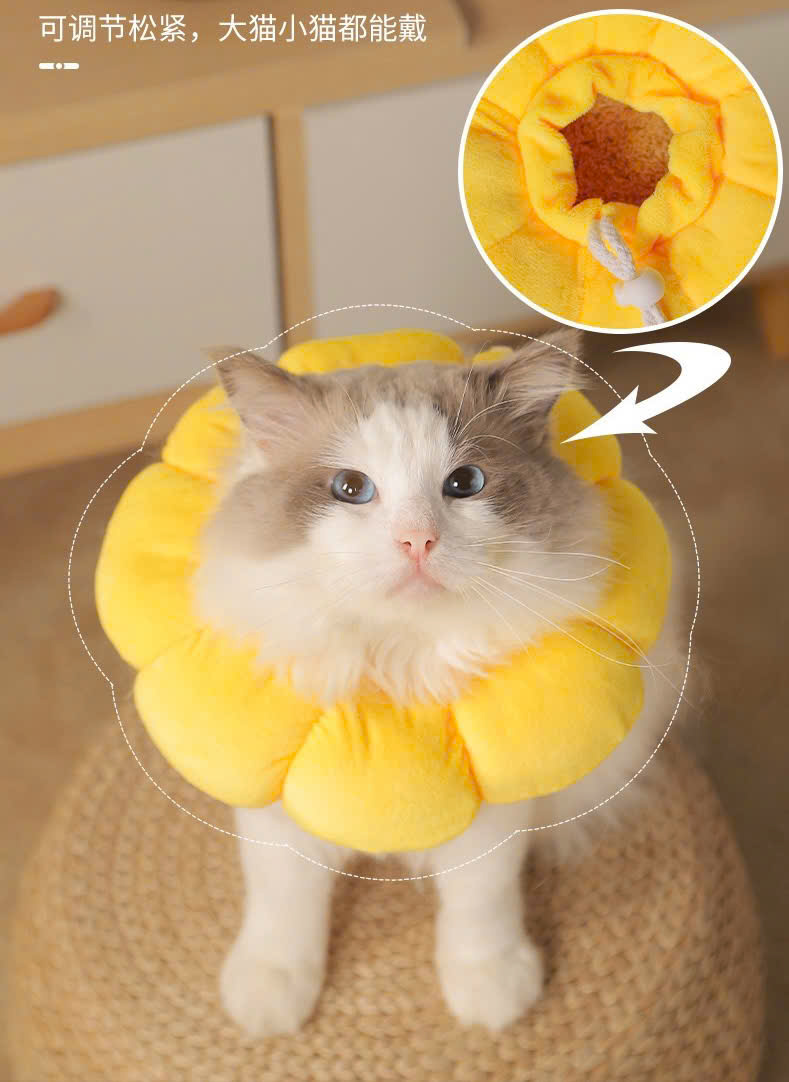 VÒNG CỔ THÚ CƯNG VÒNG CỔ LOA CHỐNG LIẾM CHO THỎ CHÓ MÈO BÔNG HOA DỄ THƯƠNG TỪ 0.5-5.5KG MÃ 10 CHO CHÓ MÈO THỎ