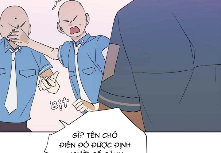 guide cấp b chapter 34 16