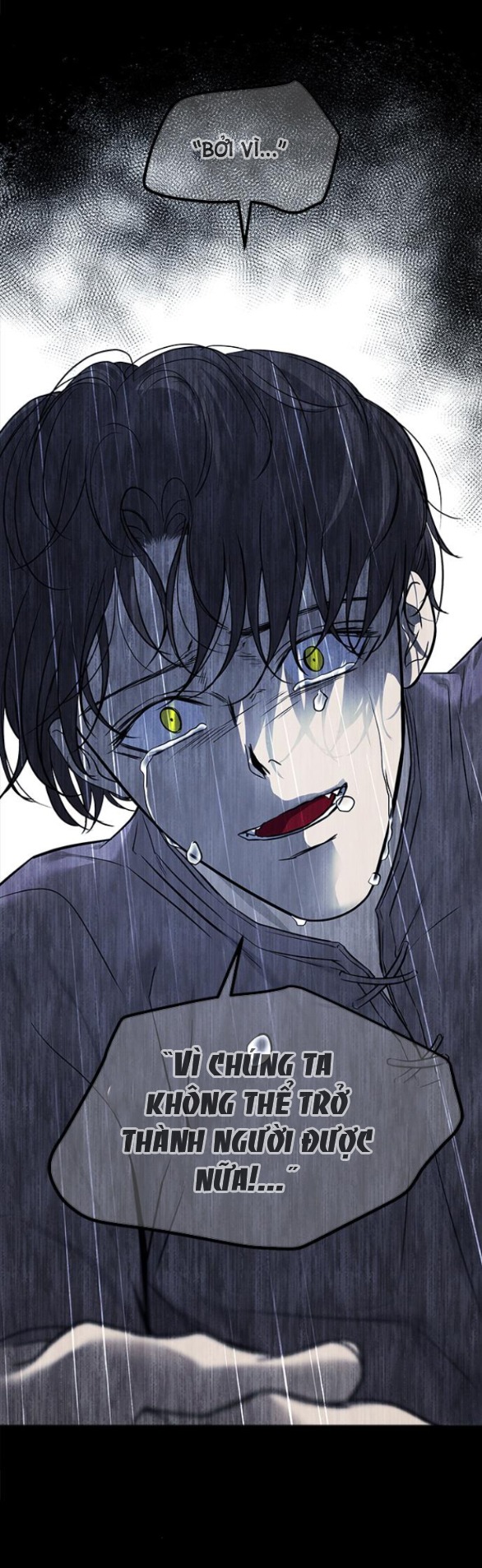 Cạm Bẫy chapter 171.2 25