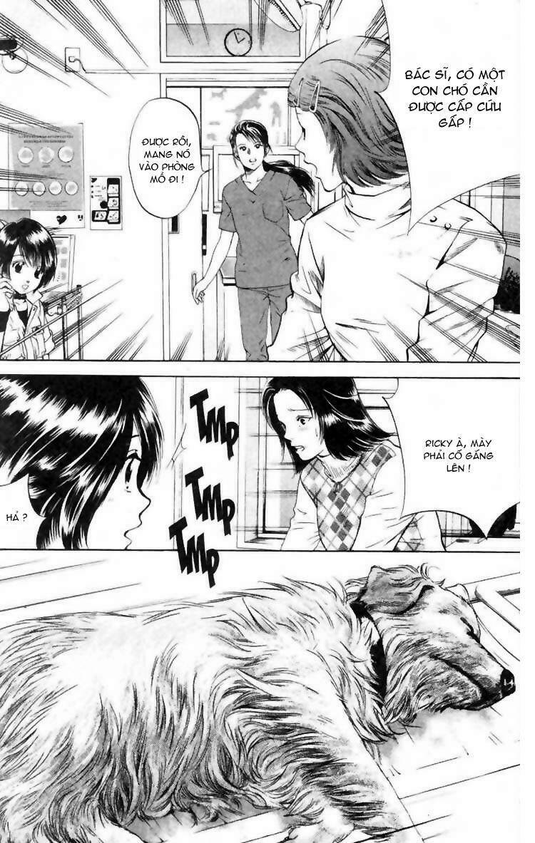 cô nàng yêu chó chapter 6 13