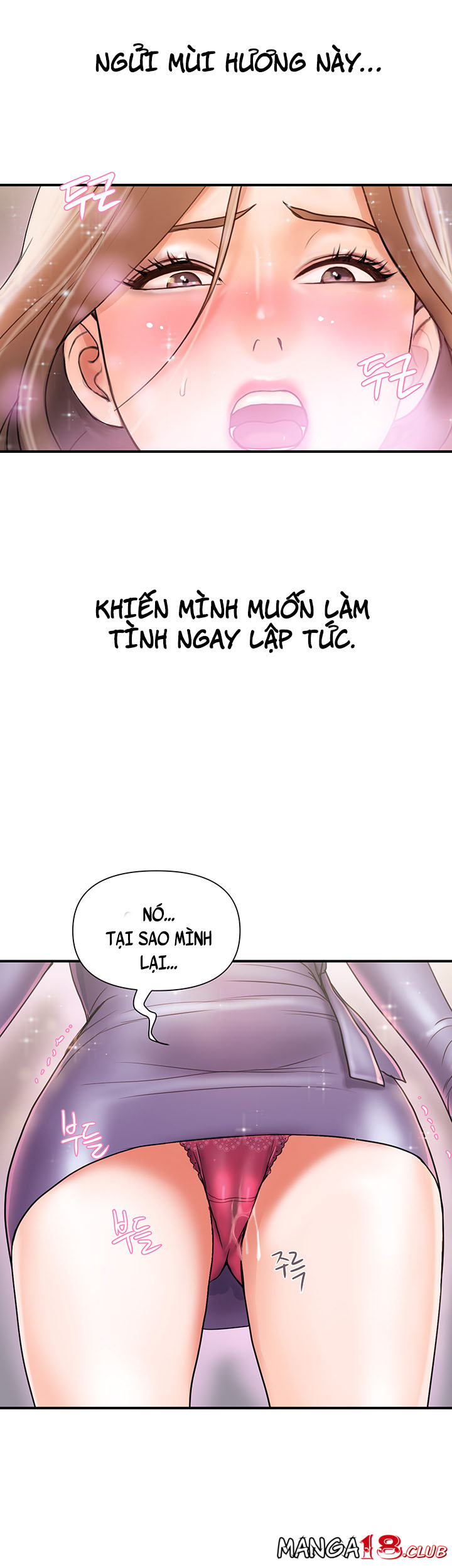 chất dẫn dục chapter 4 41