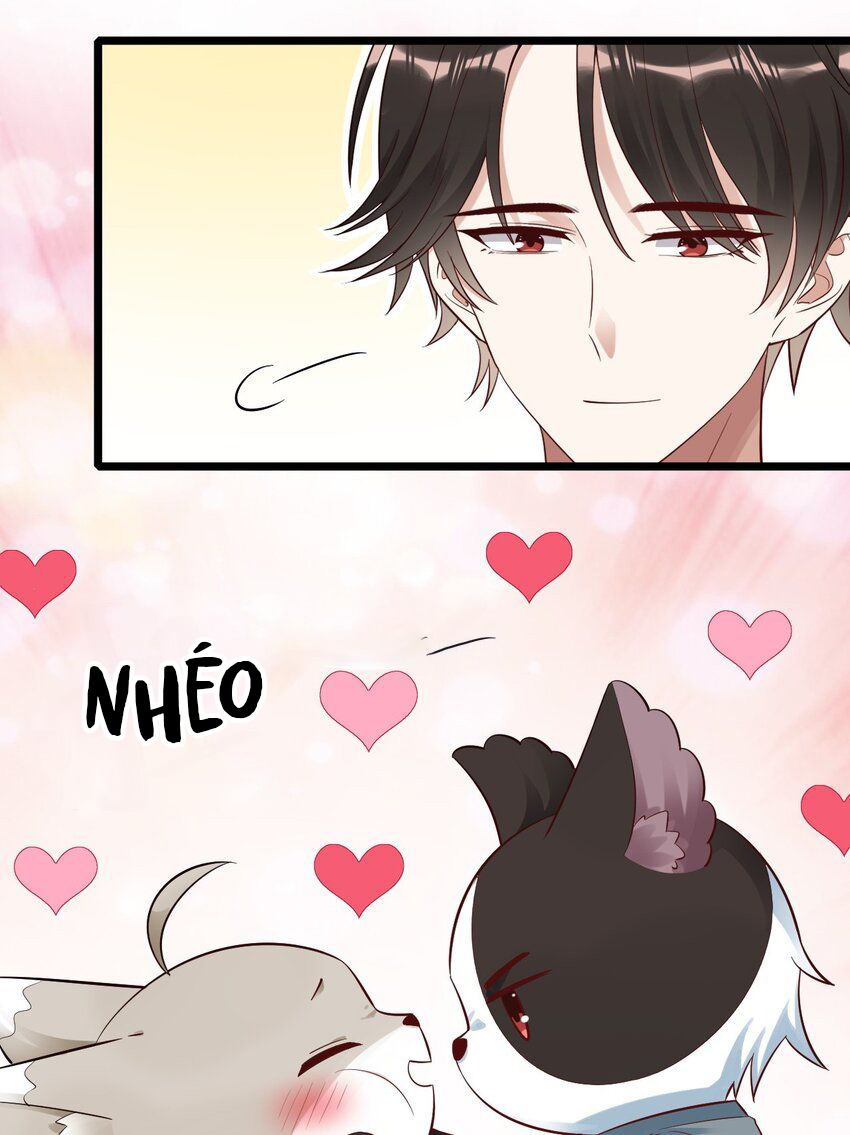 tức thời phạm quy [ tức thì vi quy ] chapter 77 4