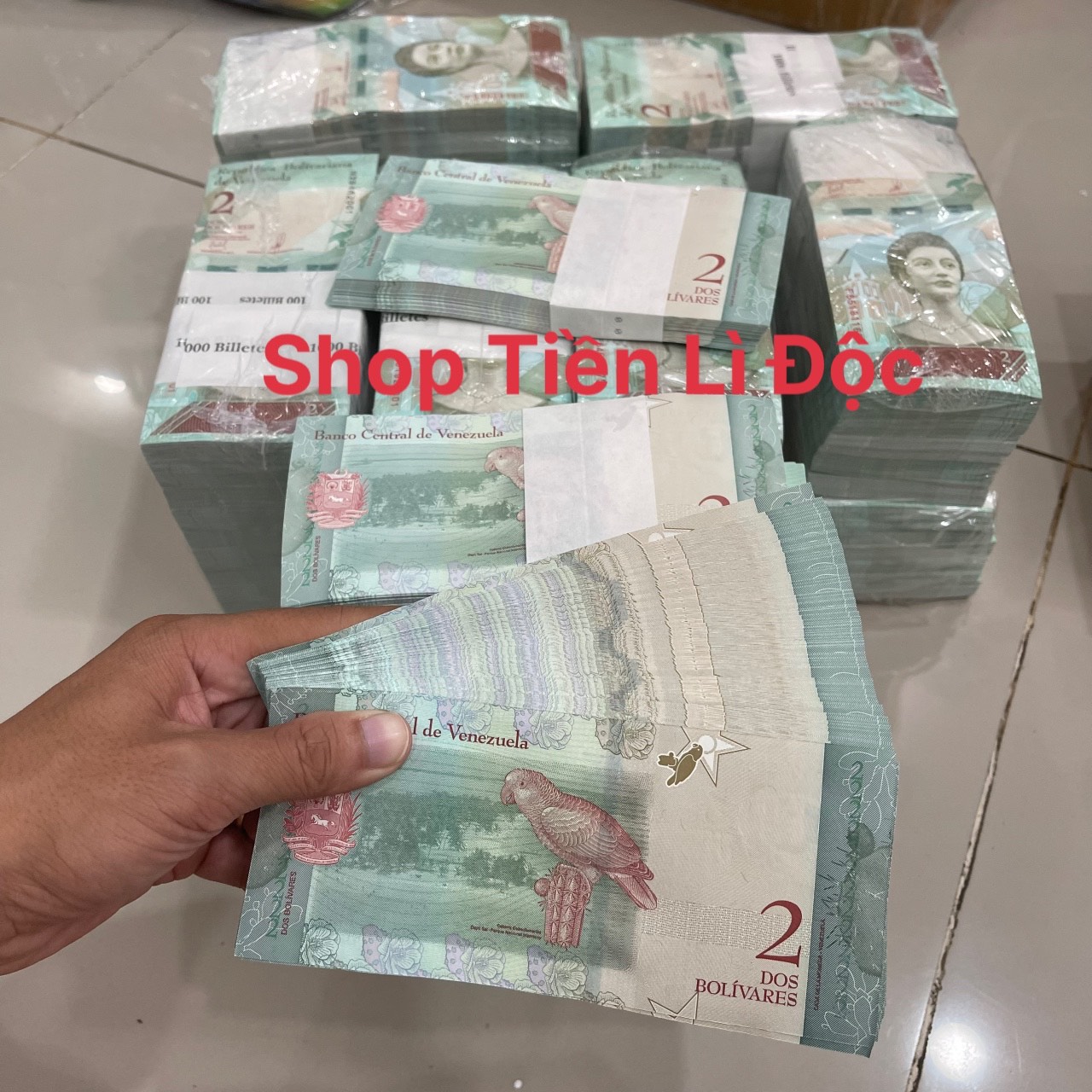 Sỉ Combo 10 Tờ Tiền Venezuela 2 Bolivares 2018 Hình Con Vẹt, Thích Hợp Lì Xì Biếu Tặng.