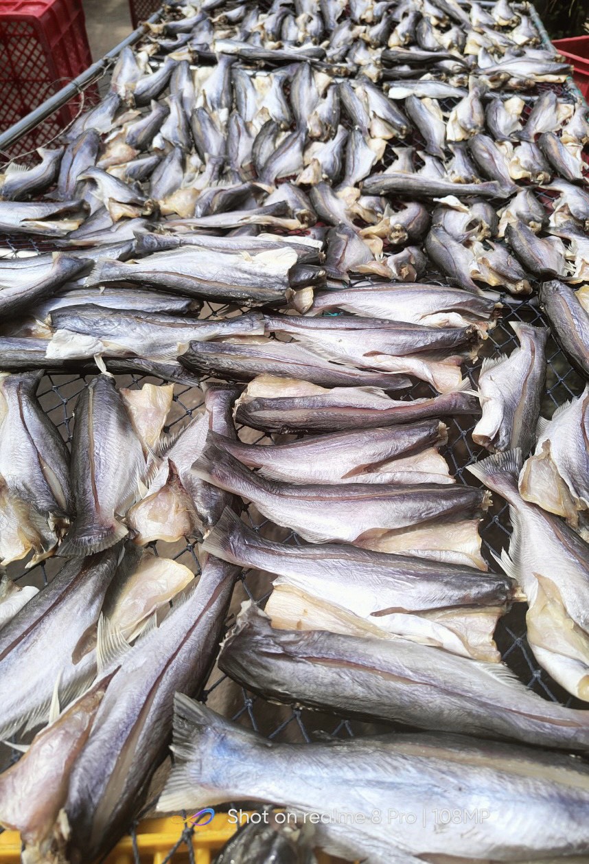 Khô cá dứa baby - Gói 500g