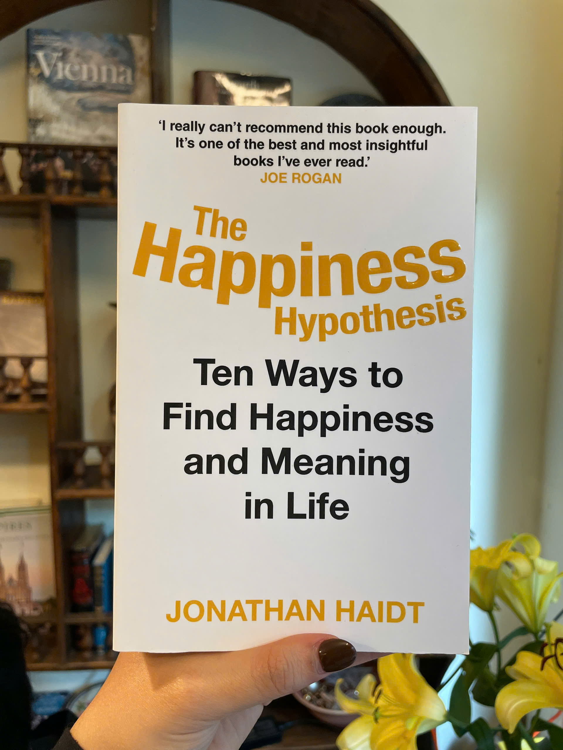 Sách - The Happiness Hypothesis by Jonathan Haidt | Psychology / Self Help / Ngoại văn Tâm lý học