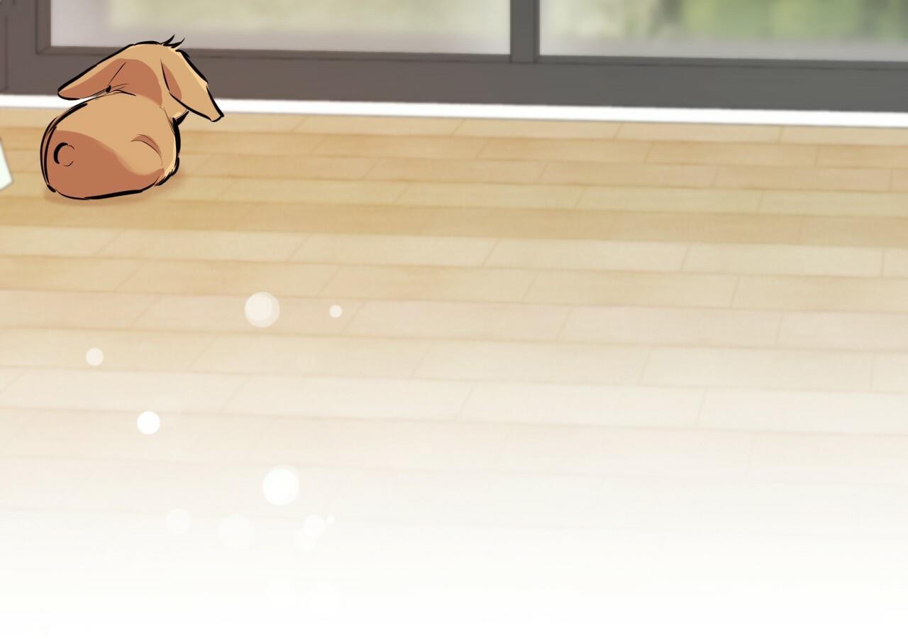 đàn thỏ của habibi chapter 20 203