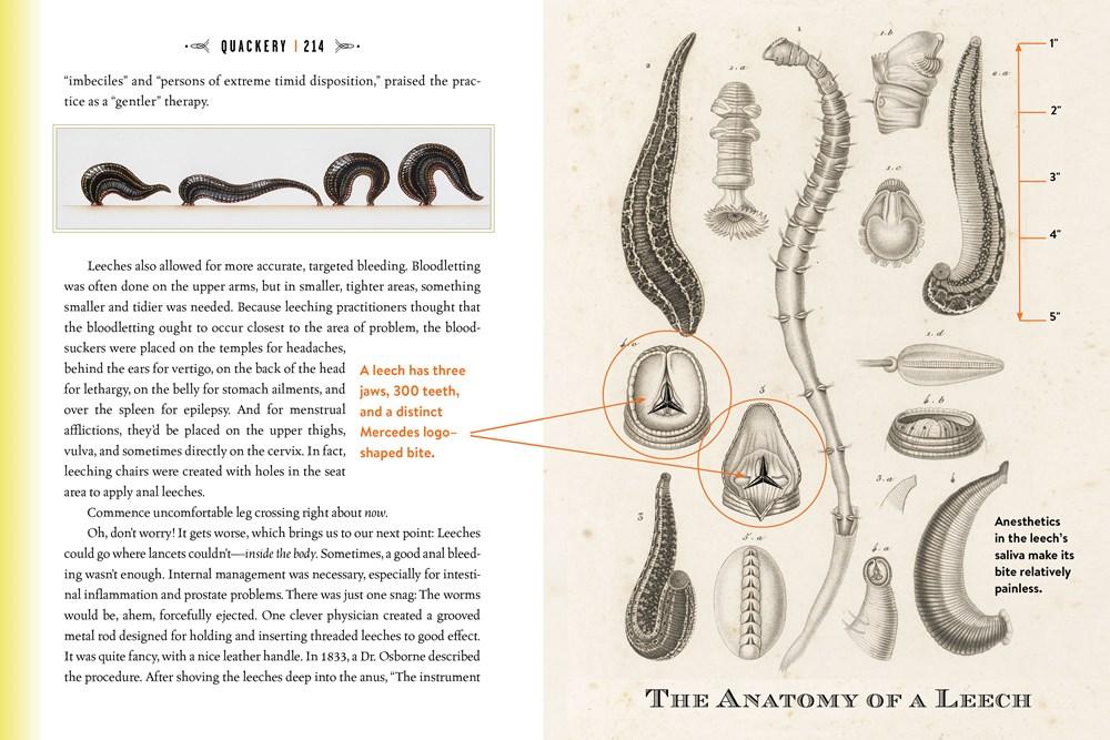 Sách - Quackery : A Brief History of the Worst Ways to Cure Everything by Lydia Kang