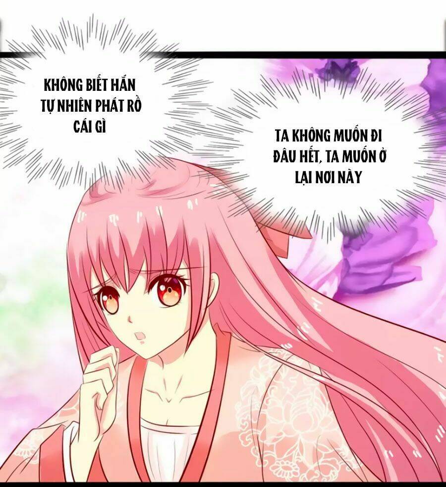 thỏ yêu tiểu vương phi chapter 39 23