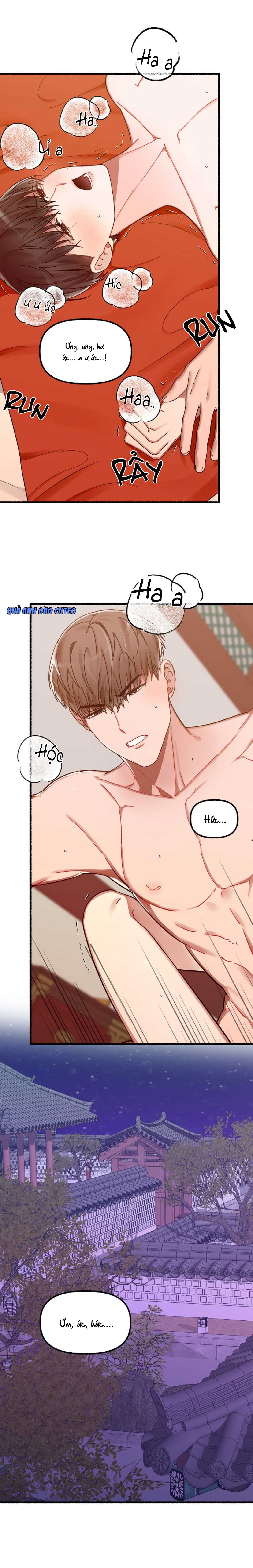 hoa triều chapter 12 17