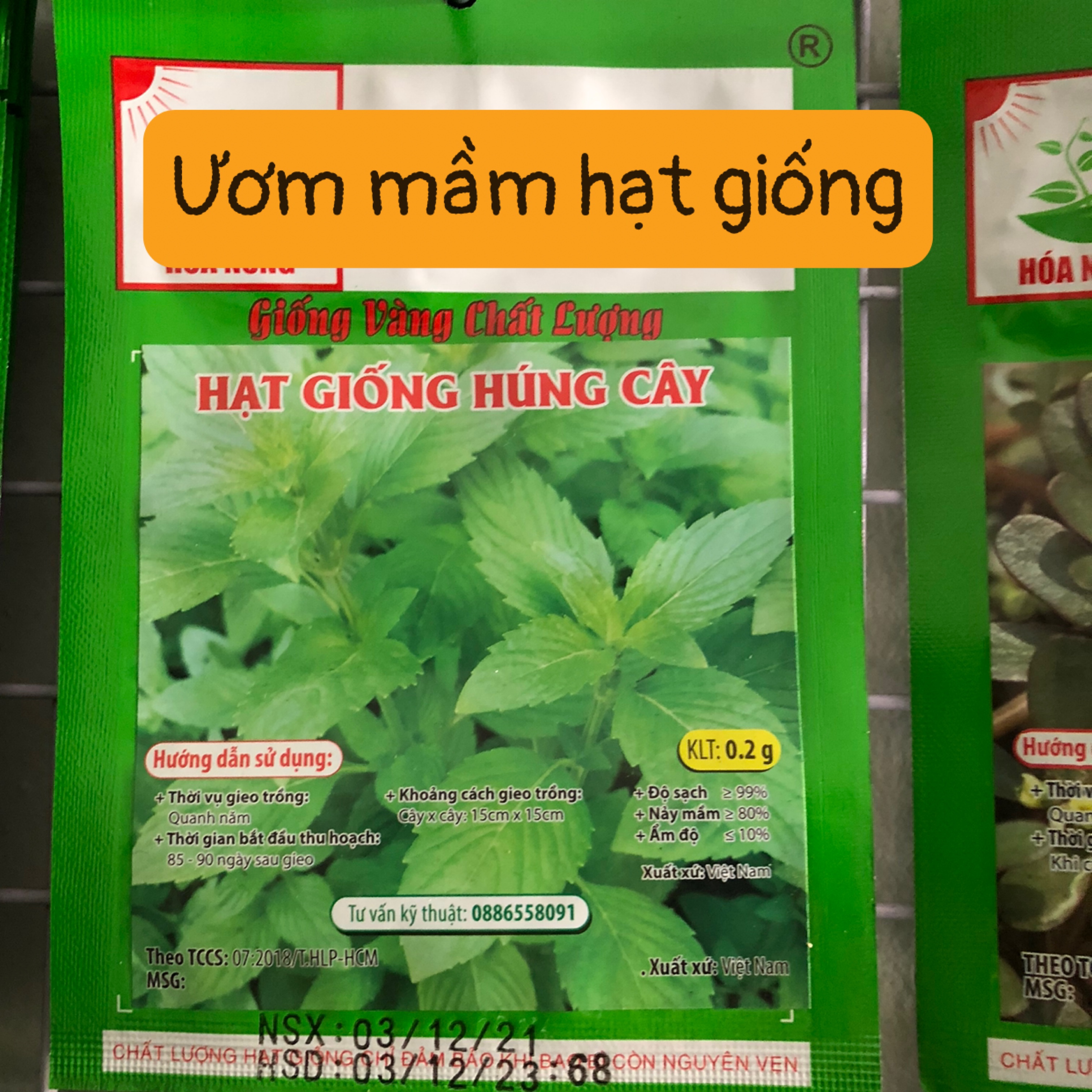 Hạt Giống Hạt Giống Húng Cây