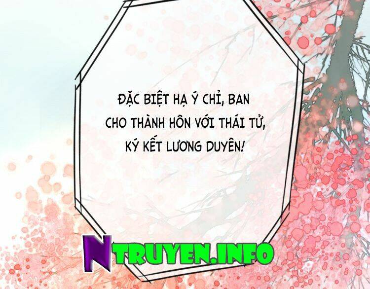 hoa nhan sách chapter 2.2 24