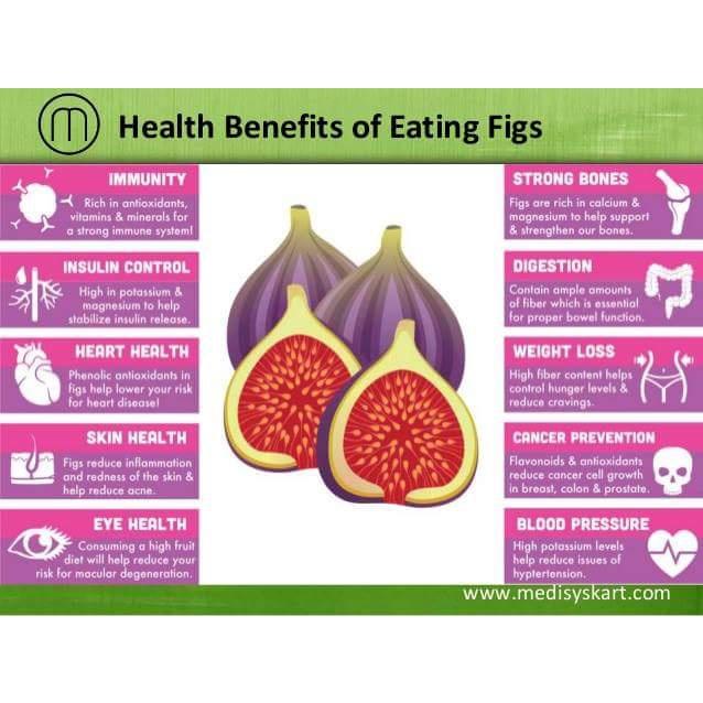 Cây GIỐNG Sung Mỹ Jinaofen