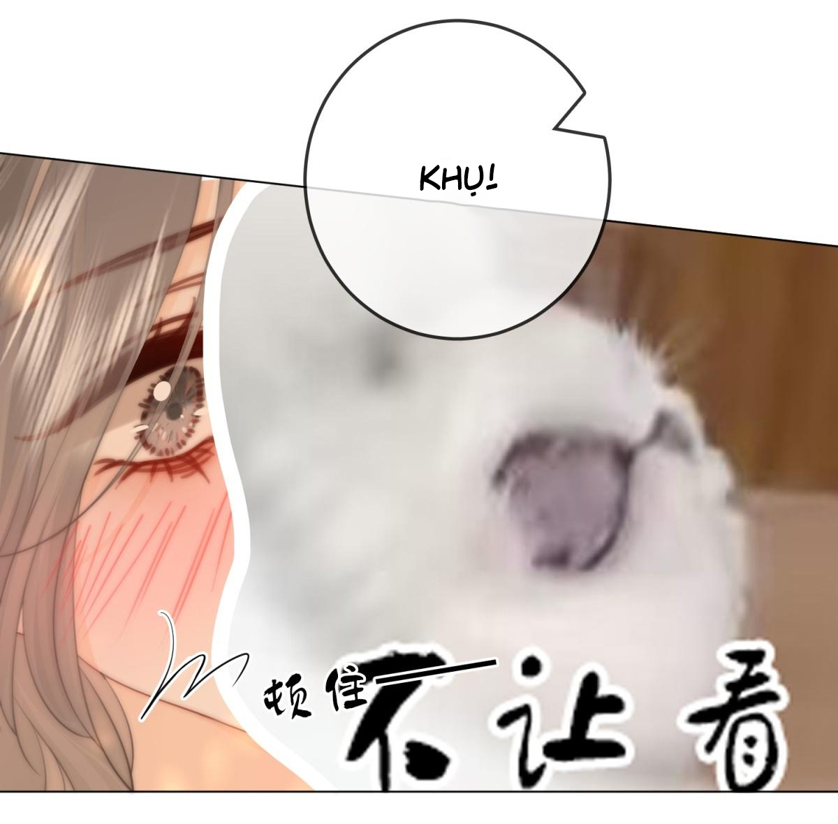 cố tiểu thư và khúc tiểu thư chapter 101 13