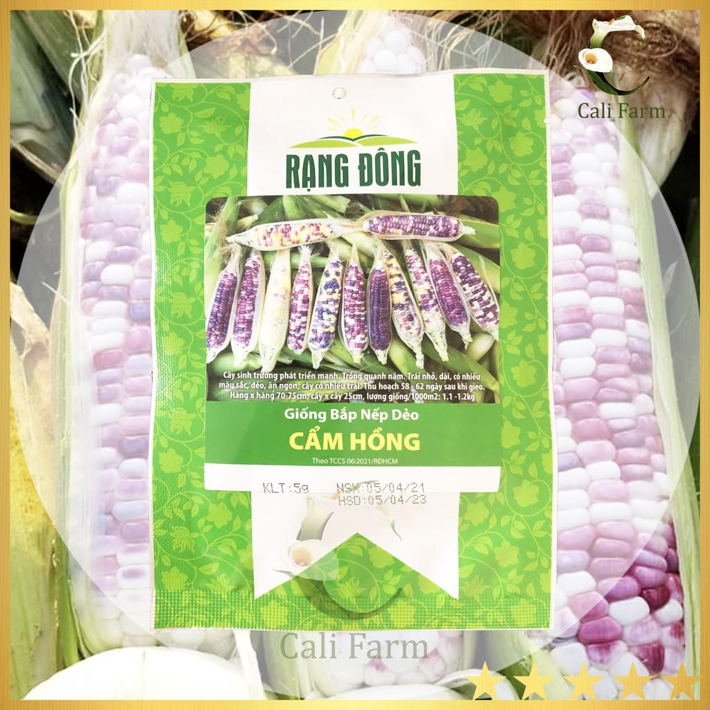 Hạt Giống Bắp Nếp Dẻo Cẩm Hồng - Trái Dẻo Ăn Ngon Dễ Trồng- NON GMO- Hạt giống Rạng Đông, Chất lượng vượt trội !